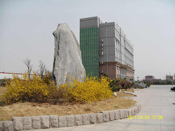 Rockery